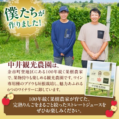 中井観光農園ストレートりんごジュース2本セット_Y037-0332