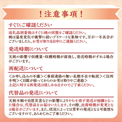 【2026年産 先行受付】<北海道余市産>桃&桃リキュールのセット_Y103-0062