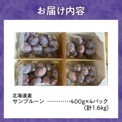 【先行受付:2026年9月中旬以降発送】余市産 生プルーン 1.6kg_Y127-0018