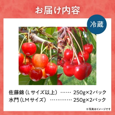 【先行受付:2025年6月下旬以降発送】さくらんぼ【佐藤錦・水門セット】1kg_Y127-0010