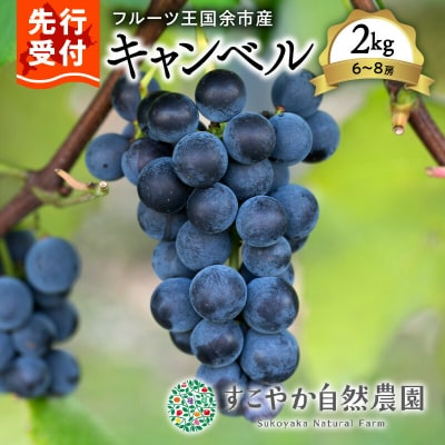 【先行受付】令和7年産ぶどう(キャンベル)2Kg箱【 すこやか自然農園 】_Y139-0003