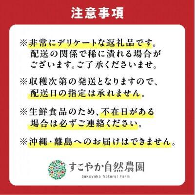 【先行受付】令和7年産ぶどう(キャンベル)2Kg箱【 すこやか自然農園 】_Y139-0003