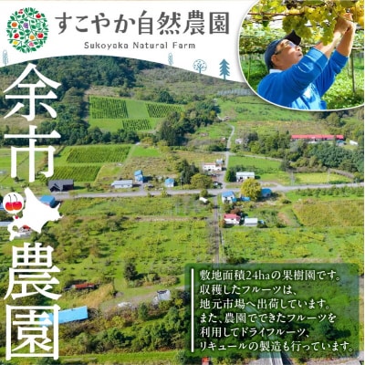 【先行受付】令和7年産千両梨 5Kg箱 8～10玉【 すこやか自然農園 】_Y139-0002