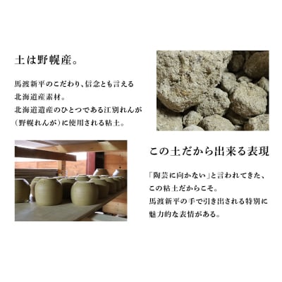 ヒビ粉引大皿 作家:馬渡 新平_Y020-0218