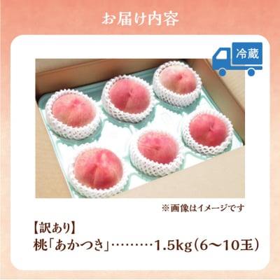 【2026年産 先行受付】余市産 訳アリ 桃 あかつき 1.5kg(6～10玉)_Y103-0060