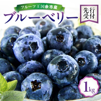 【先行受付:8月上旬以降発送】フルーツ王国余市産 生ブルーベリー 1Kg_Y074-0130