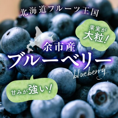 【先行受付:8月上旬以降発送】フルーツ王国余市産 生ブルーベリー 1Kg_Y074-0160