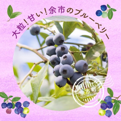【先行受付:8月上旬以降発送】フルーツ王国余市産 生ブルーベリー 1Kg_Y074-0130