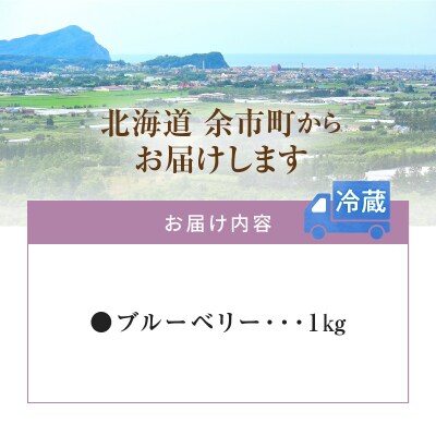 【先行受付:8月上旬以降発送】フルーツ王国余市産 生ブルーベリー 1Kg_Y074-0160