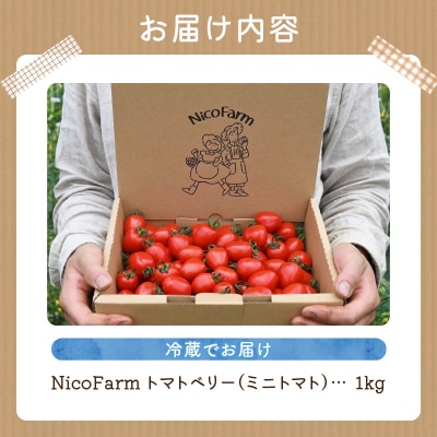 先行受付 NicoFarm トマトベリー(ミニトマト)1Kg_Y124-0011