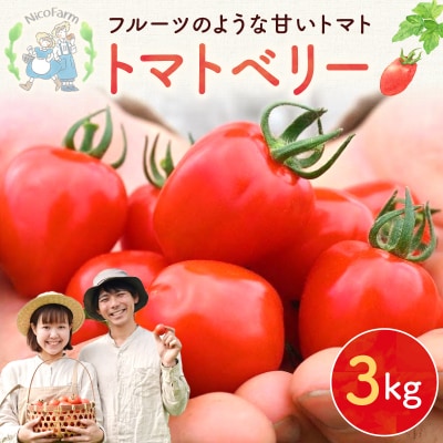 先行受付 NicoFarm トマトベリー(ミニトマト)3Kg_Y124-0013