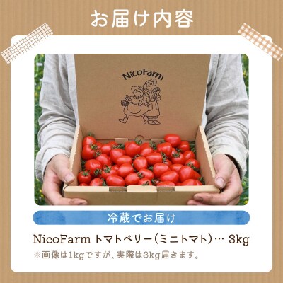 先行受付 NicoFarm トマトベリー(ミニトマト)3Kg_Y124-0013