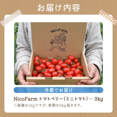 先行受付 NicoFarm トマトベリー(ミニトマト)3Kg_Y124-0013