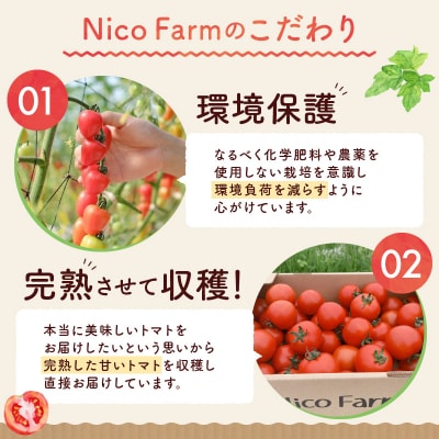 先行受付 NicoFarm Nicoロッソ(ミニトマト)1Kg_Y124-0014