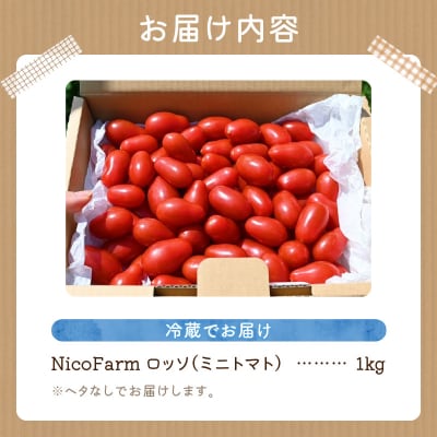 先行受付 NicoFarm Nicoロッソ(ミニトマト)1Kg_Y124-0014