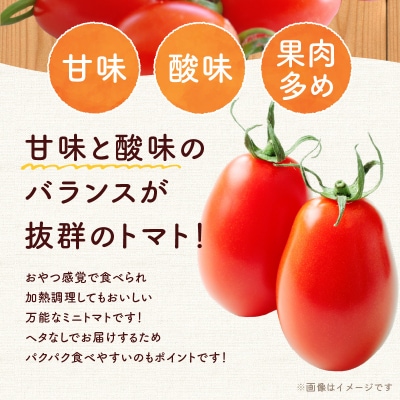 先行受付 NicoFarm Nicoロッソ(ミニトマト)3Kg_Y124-0016