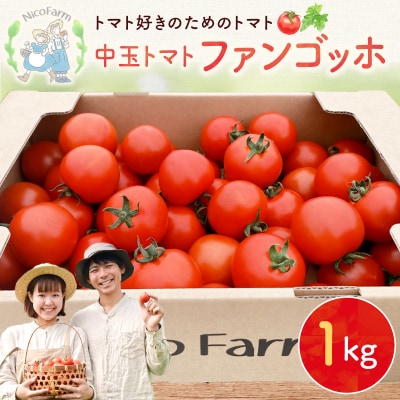 先行受付 NicoFarm ファンゴッホ(中玉トマト)1Kg_Y124-0017
