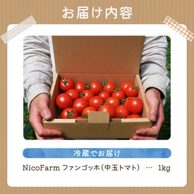 先行受付 NicoFarm ファンゴッホ(中玉トマト)1Kg_Y124-0017