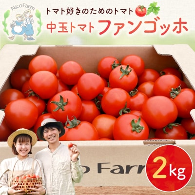 先行受付 NicoFarm ファンゴッホ(中玉トマト)2Kg_Y124-0018
