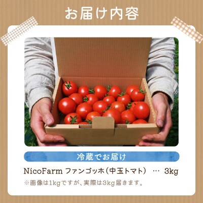 先行受付 NicoFarm ファンゴッホ(中玉トマト)3Kg_Y124-0019