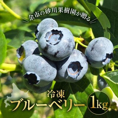 余市の砂川果樹園が贈る 冷凍ブルーベリー1Kg_Y033-0036