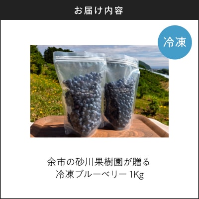 余市の砂川果樹園が贈る 冷凍ブルーベリー1Kg_Y033-0036