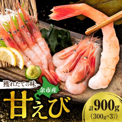 【獲れたての味!】甘エビ300g×3_Y022-0024