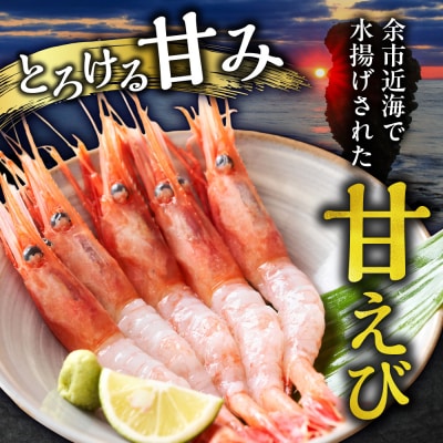 【獲れたての味!】甘エビ300g×3_Y022-0024