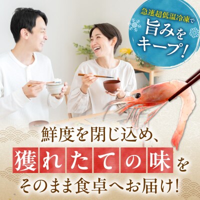 【獲れたての味!】甘エビ300g×3_Y022-0024
