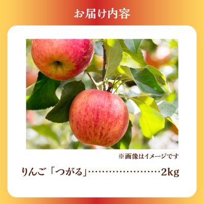 【2026年9月下旬より発送】<北海道余市産>りんご(つがる)2kg_ Y103-0099