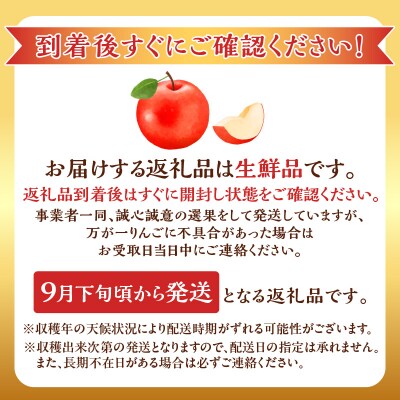 【2026年9月下旬より発送】訳アリ りんご(つがる)2.8kg 北海道余市産_Y103-0098