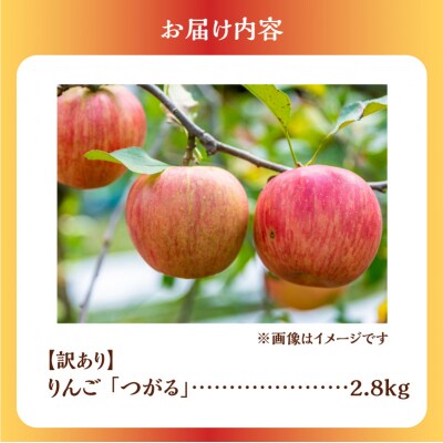 【2026年9月下旬より発送】訳アリ りんご(つがる)2.8kg 北海道余市産_Y103-0098