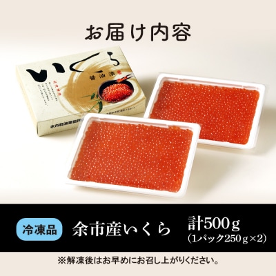 余市産いくら500g 北海道産 冷凍 鮭いくら_Y020-0705