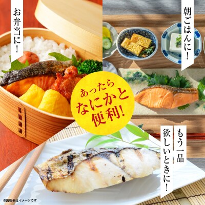 【2027年3月頃より発送】魚切り身バラエティセット <合計1.5kg>_Y006-0033
