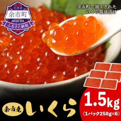 余市産いくら500g×3箱 北海道産 冷凍 鮭いくら_Y020-0707