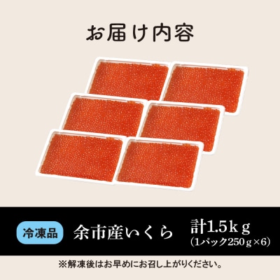 余市産いくら500g×3箱 北海道産 冷凍 鮭いくら_Y020-0707