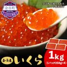 余市産いくら500g×2箱 北海道産 冷凍 鮭いくら_Y020-0706