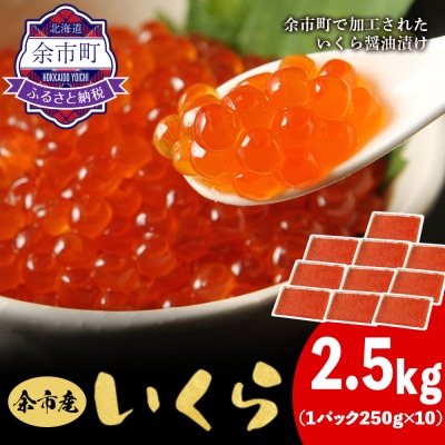 余市産いくら500g×5箱 北海道産 冷凍 鮭いくら_Y020-0709