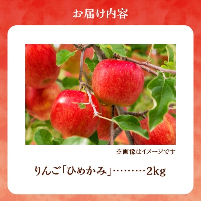 【先行受付:2025年10月中旬より発送】りんご(ひめかみ)2kg【余市町産】_Y103-0033