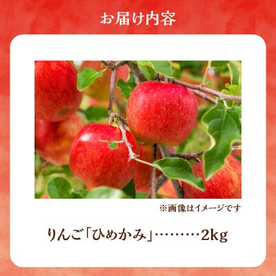 【先行受付:2025年10月上旬より発送】りんご(ひめかみ)2kg【余市町産】_Y103-0033