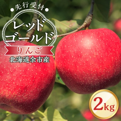 【先行受付:10月中旬より発送】りんご(レッドゴールド) 2kg 【余市町産】_Y103-0088