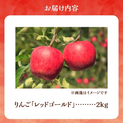 【先行受付:10月中旬より発送】りんご(レッドゴールド) 2kg 【余市町産】_Y103-0088