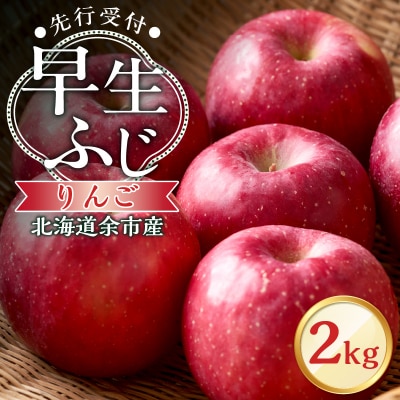 【先行受付:2025年10月中旬より発送】りんご(早生ふじ)2kg【余市町産】_Y103-0037