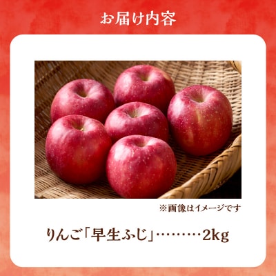 【先行受付:2025年10月中旬より発送】りんご(早生ふじ)2kg【余市町産】_Y103-0037