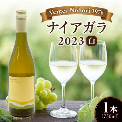 余市町 ナイアガラワイン 2023 750ml×1本_Y103-0030