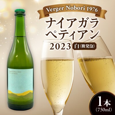 余市町 ナイアガラワイン ペティアン 2023 750ml×1本_Y103-0031
