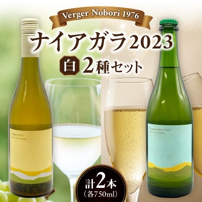 余市町 ナイアガラワイン 2本セット 2023 各750ml×2本_Y103-0032