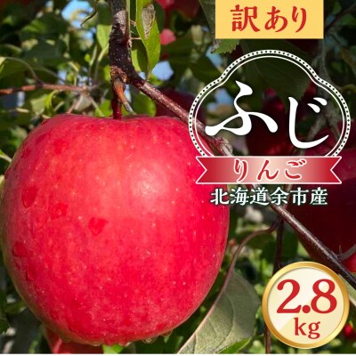 【先行受付:2026年12月上旬より発送】訳アリ りんご(ふじ)2.8kg_Y103-0073