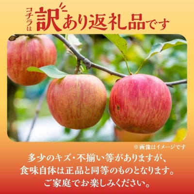 訳アリ りんご(ふじ)5kg_Y103-0048