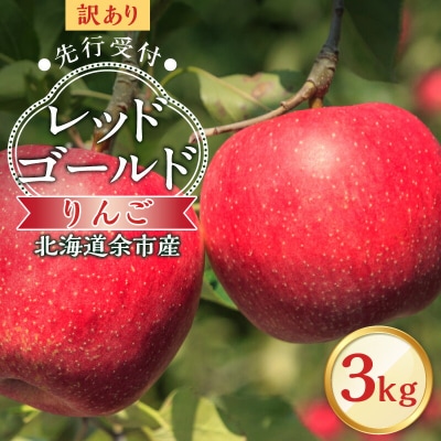 【先行受付:2025年10月中旬より発送】訳アリ りんご(レッドゴールド)3kg_Y103-0036